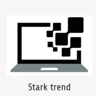 Stark trend - Computer Technician - Alvalade