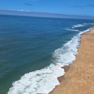 Leonor - Pet Sitting e Pet Walking - Matosinhos