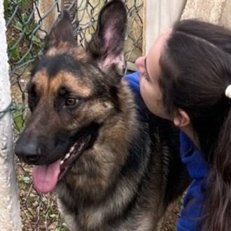 Cláudia Bartolo - Hotel e Creche para Animais - Valongo
