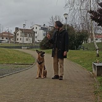 Ricardo Neves - Pet Sitting e Pet Walking - Bragança