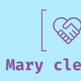 Mary Cleaning - Organização da Casa - Brasfemes