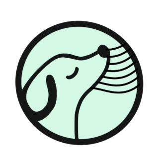 Entre Patas - Pet Sitting e Pet Walking - Lousada