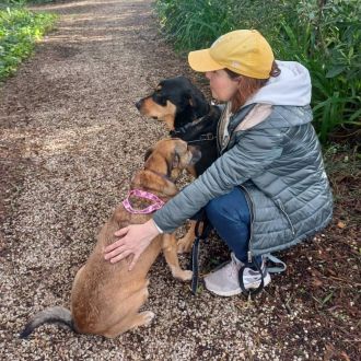 Who walks the dogs out? - Treino de Animais - Alenquer