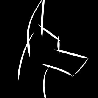 K9 Invaders - Treino de Cães - Arruda dos Vinhos