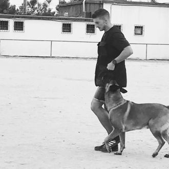 Vasco Carvalho - Treino de Animais - Monchique