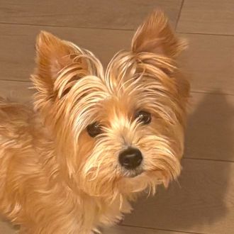 Barbara M. - Montaje de centros de entretenimiento o soportes de TV