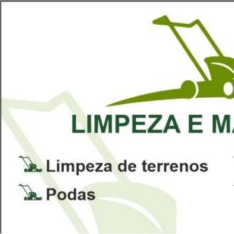 Limpeza e manutenção - Paisagismo - Fafe