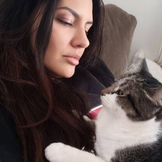 Isa pet - Cuidados para Animais de Estimação - Paredes