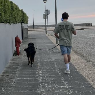 Francisco Oliveira - Pet Sitting e Pet Walking - Fafe