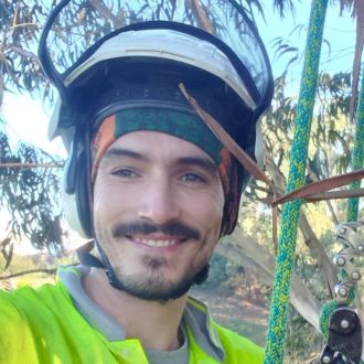 Castro Treecare - Jardinagem e Relvados - Tábua