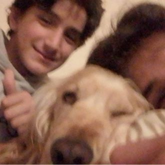 Familia Fernandes - Creche para Cães - Moscavide e Portela