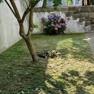 Servicos de limpezas e servicos domésticos - Biscates - Valongo