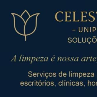 CelestialTulip Soluções em limpezas - Limpeza - Alenquer