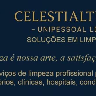 CelestialTulip S. - Accounting