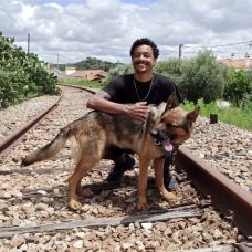 Fernando Gomes - Treino de Cães - Lisboa