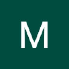 Mike M. - Toilet Repair