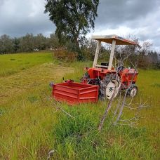Bestgreen - Jardinagem e Relvados - Santarém