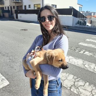 Patrícia Alves - Cat Sitting - Paranhos