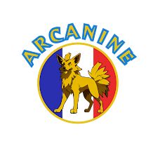 arcanine treino canino ao domicilio em Leiria/Alcobaça - Treino de Animais - Alvaiázere