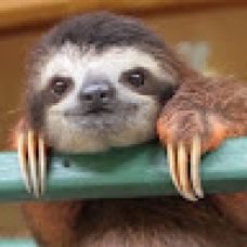 Pedro F. - Electricians