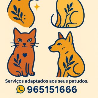 Cato Mapal - Hotel e Creche para Animais - Lisboa