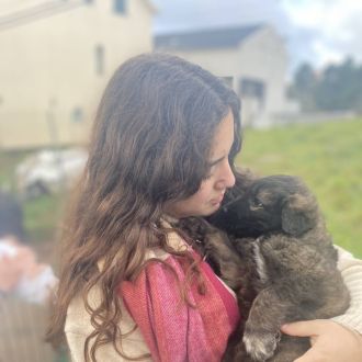 Cíntia Martins - Pet Sitting e Pet Walking - Cadaval