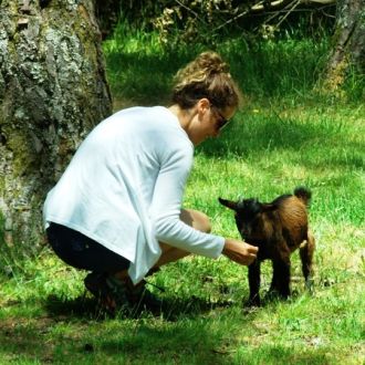 One of a Kind - Cuidados para Animais de Estimação - Porto