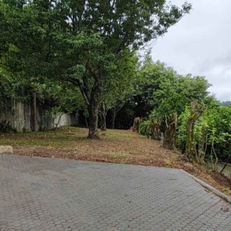 Santos - Limpeza de Sofá - Cacia