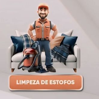 Style Cleaning Higienização Profissional - Carros - Alcobaça