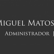 MIGUEL MATOS TORRES, SAI - Consultoria de Estat&iacute;stica - Lisboa