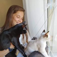 Pet Care / Dog Walker - Pet Sitting e Pet Walking - Santar&eacute;m