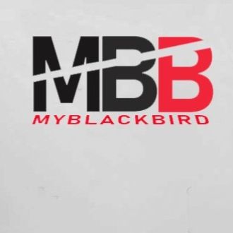 My Black Bird - Fotografia de Animais de Estimação - Alvalade