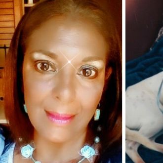 Carla coelho - Cat Sitting - Alcabideche