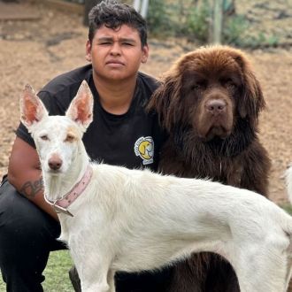 Dog feliz 😁 - Hotel e Creche para Animais - Mafra