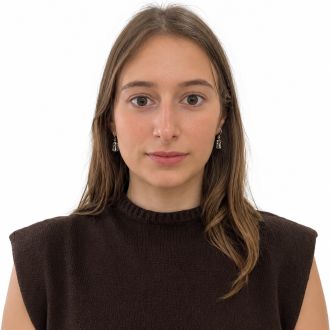 Gabriela Tavares - Saisie de données - Castelões