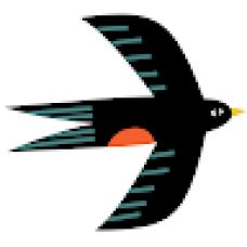 Maria N. - Serviço de Biscates