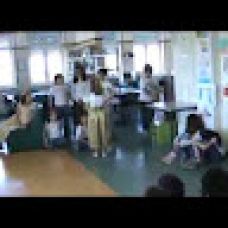 João P. - Roof Cleaning