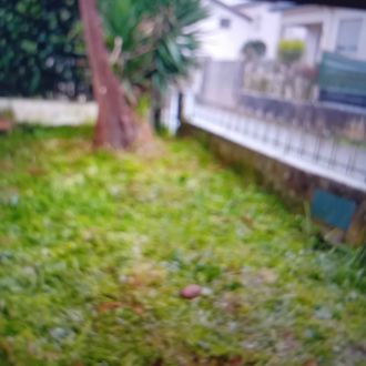 Miguel  monteiro - Jardinagem e Relvados - Guimarães
