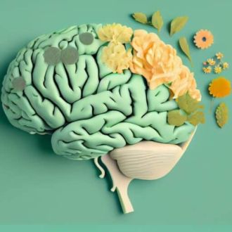 Miguel Ferreira - Naturopatia & Hipnoterapia - Homeopath - Ventosa