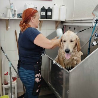 Cristina Guimarães - Hundepension - Melres e Medas