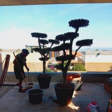 Ambiflora - Paisagismo - Cabeceiras de Basto