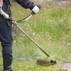 Pedro Miguel - Medicinas Alternativas e Hipnoterapia - Viana do Castelo