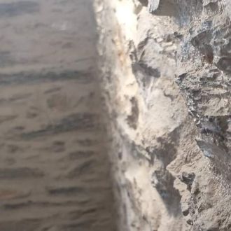 EloCriativo - Desinfestação e Desbaratização - Setúbal