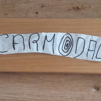 João R. - Umzugsunternehmen (max. 80km)