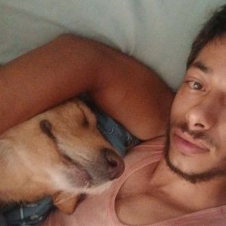 Leandro Machado - Hotel e Creche para Animais - Vila Real