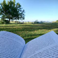 Alegria K. - Reparación de puertas