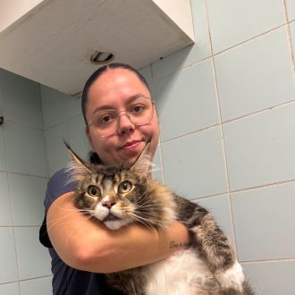 Bárbara Judite - Cuidados para Animais de Estimação - Matosinhos