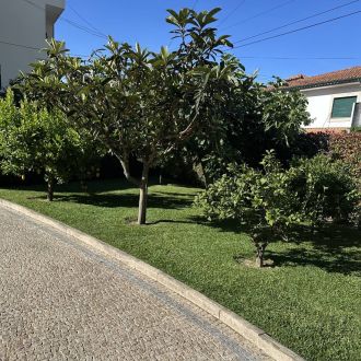 Carlosjardim - Jardinagem e Relvados - Guimarães