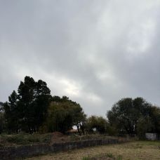 Cátia - Homeopatia - Porto