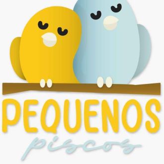 Pequenos Piscos - Babysitting Porto - Babysitting - Porto